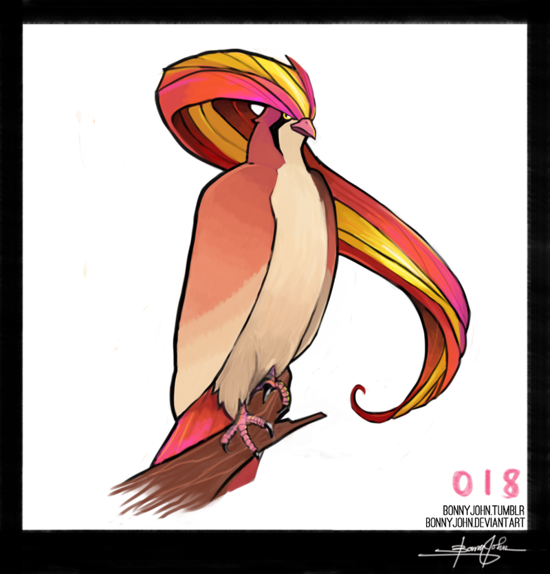 Illustration for article titled Pidgeot! Pokemon One a Day